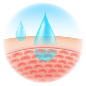 Hyaluronic Acid Drop Penetrates the Skin barrier