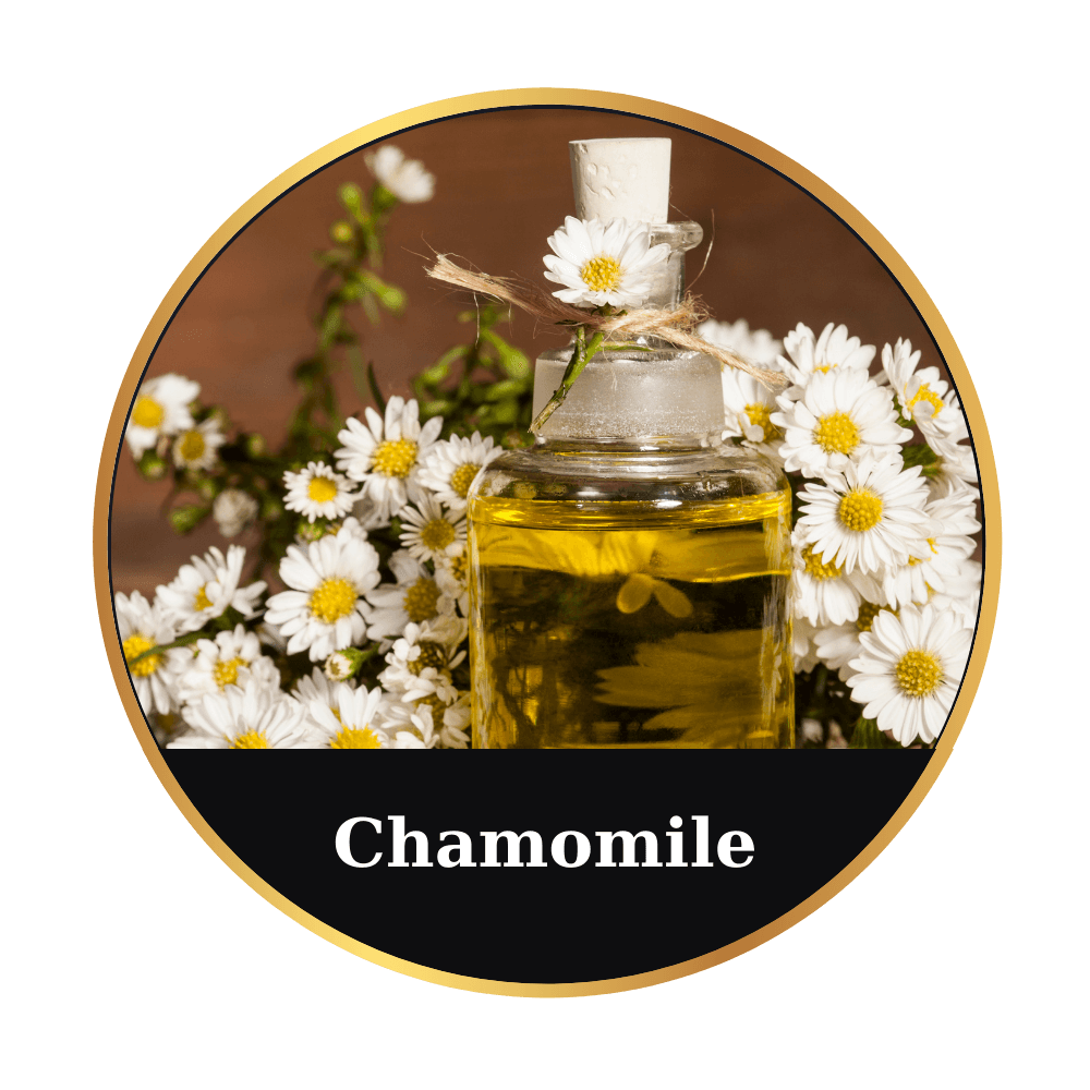 Chamomile