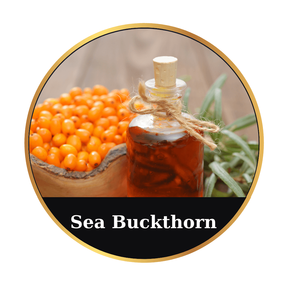 Sea Buckthorn