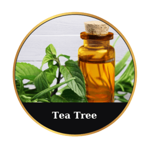 Tea Tree
